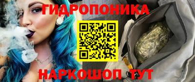 СК Дубна