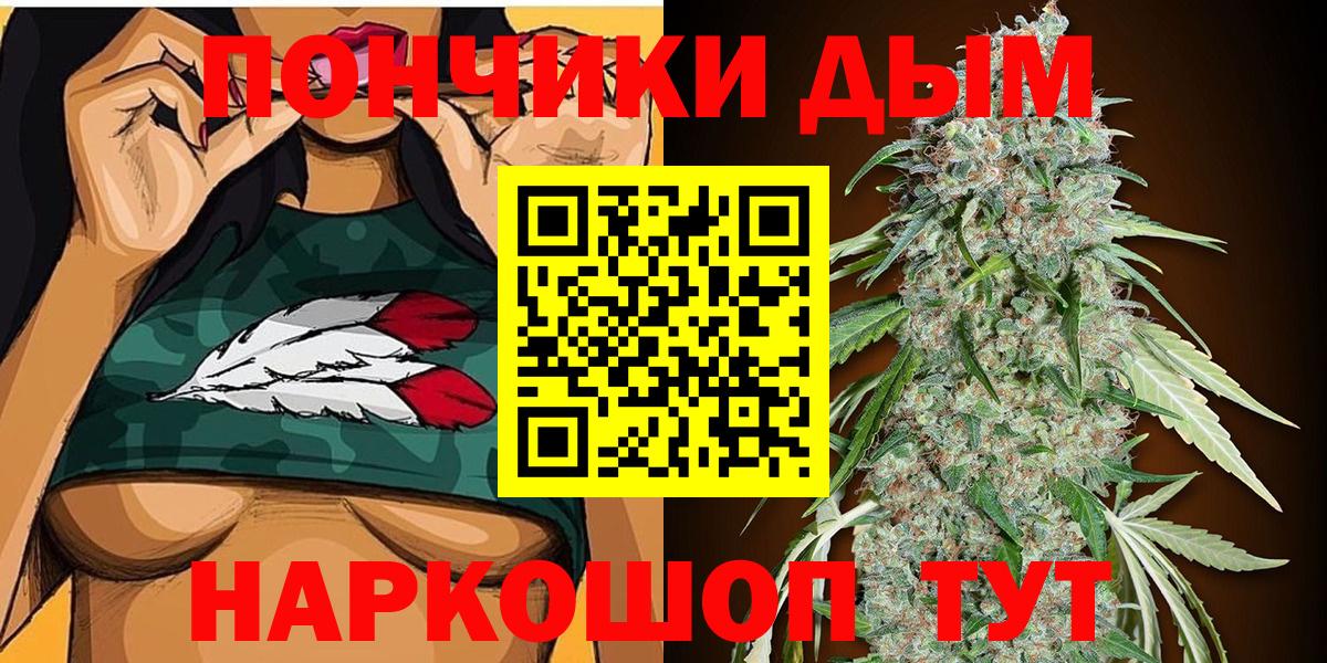Бошки Шишки планчик Кушва